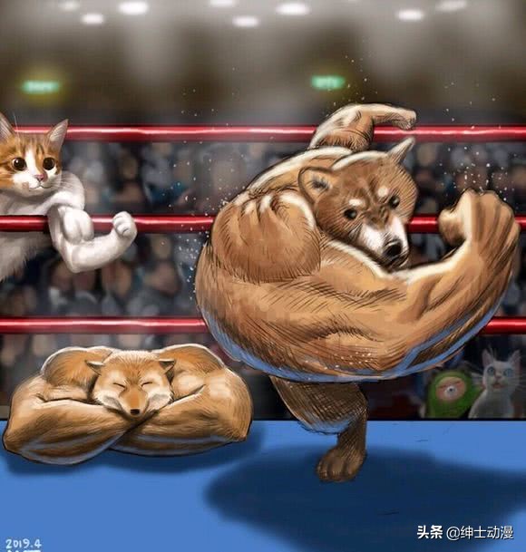 肌肉三巨头柴犬,肌肉动物三巨头图片