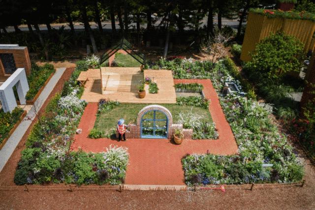 未来10天预警,深圳最最最最火的地方在这里,美女都赶来打卡