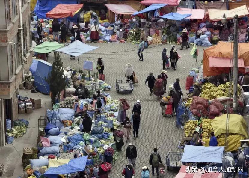 南美洲最近新型病毒,新冠疫情南美死亡多少人