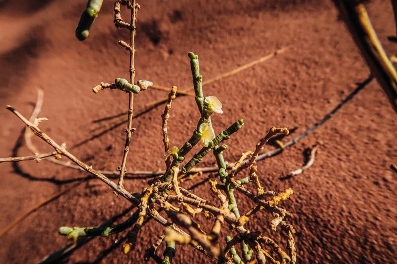 约旦到中国坐飞机需多少小时,约旦到埃及要飞几小时