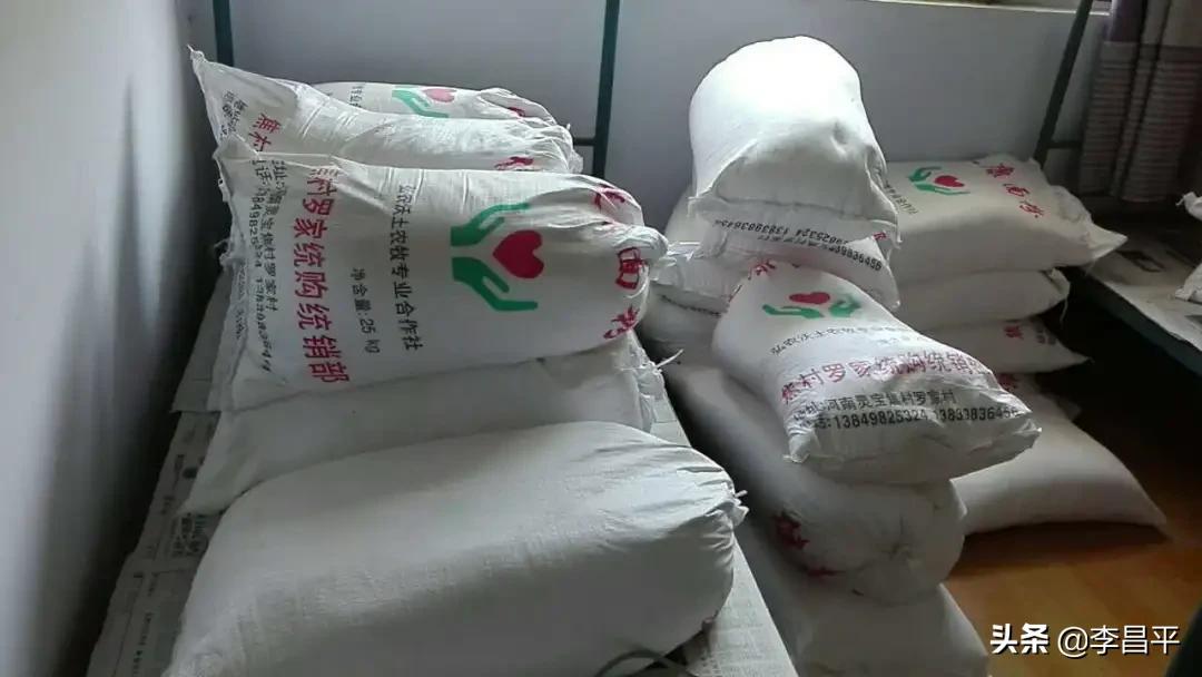 罗家村股份经济合作社,灵宝市罗家河果品专业合作社