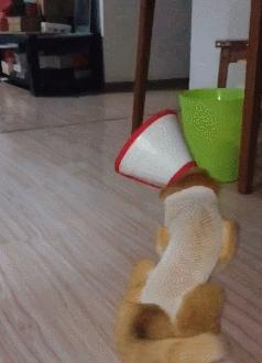 养猫狗常备药,宠物猫狗常用药