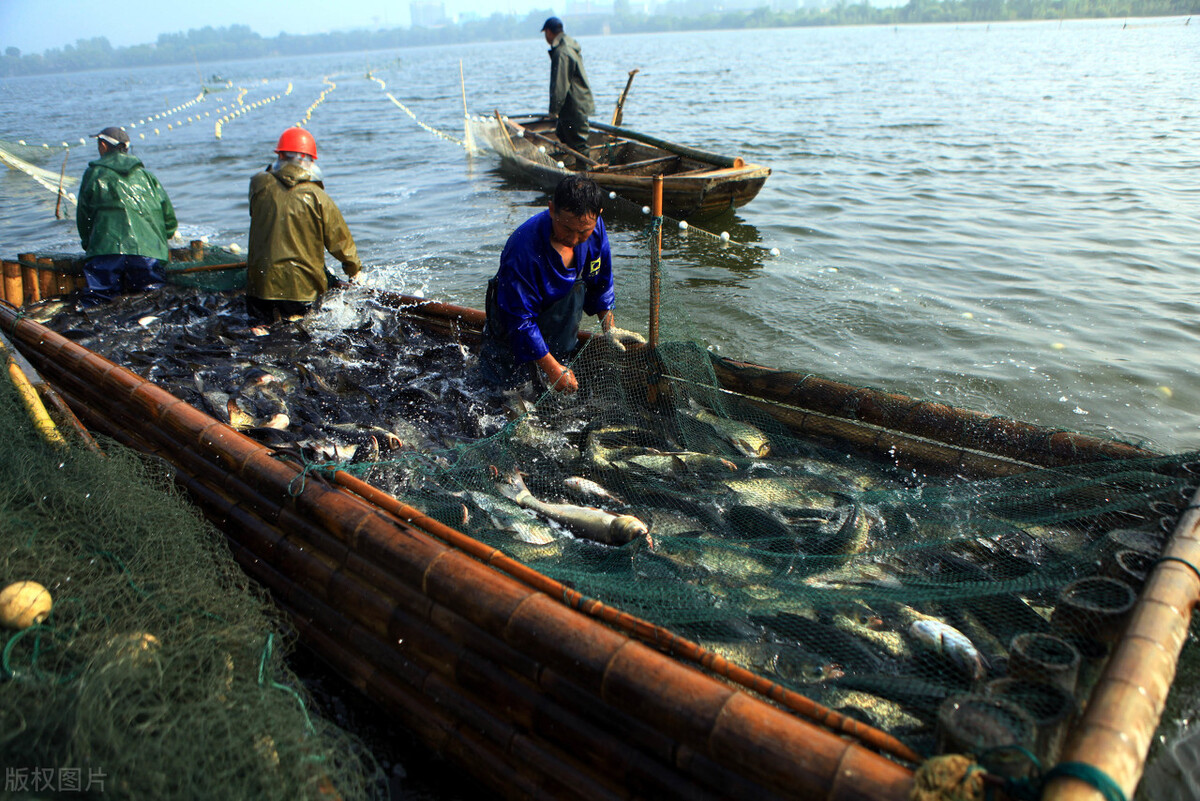 为什么说江西吃辣排行第一,江西吃辣鄙视链
