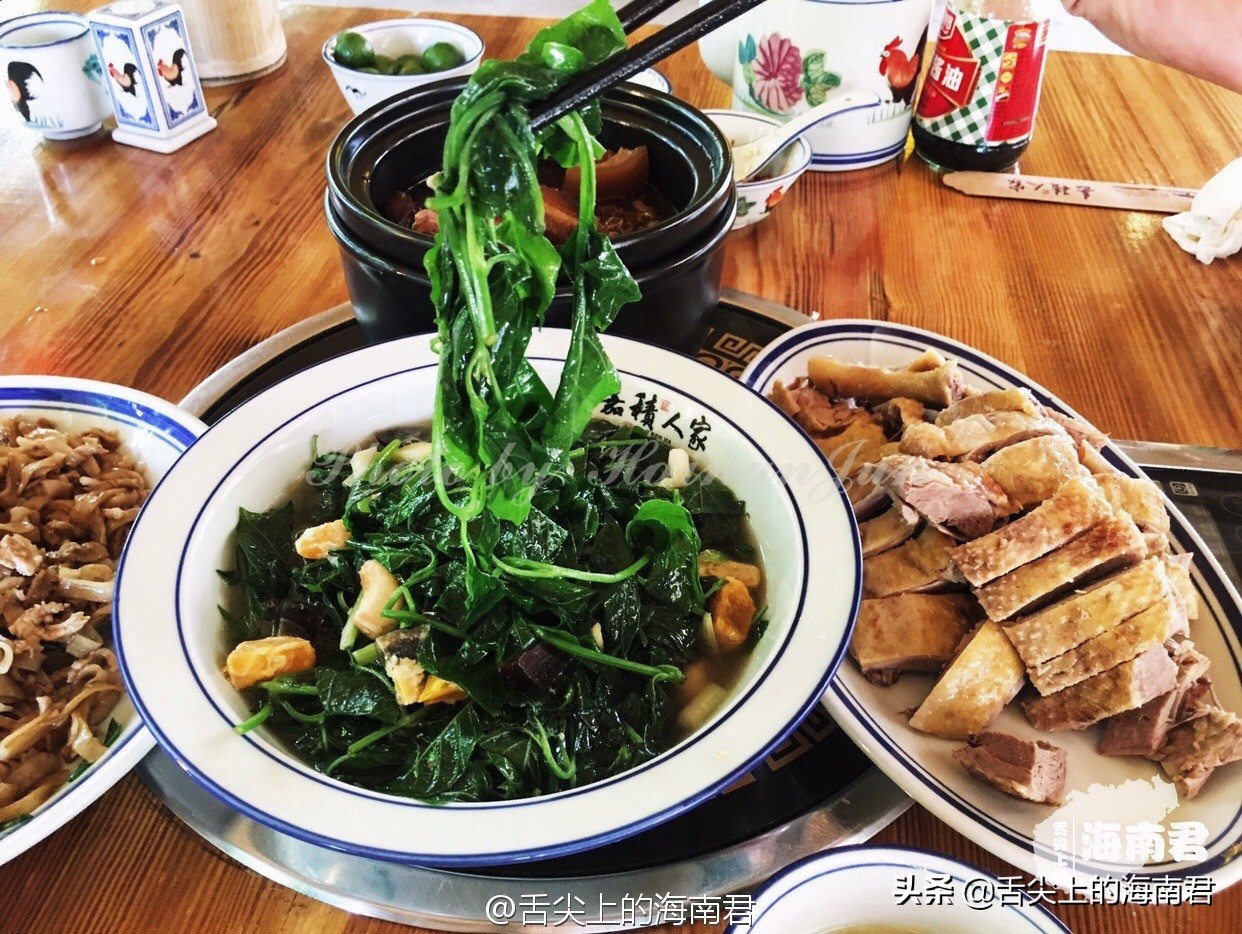 海南去了一次不想去第二次,海南琼海可以旅游的地方推荐