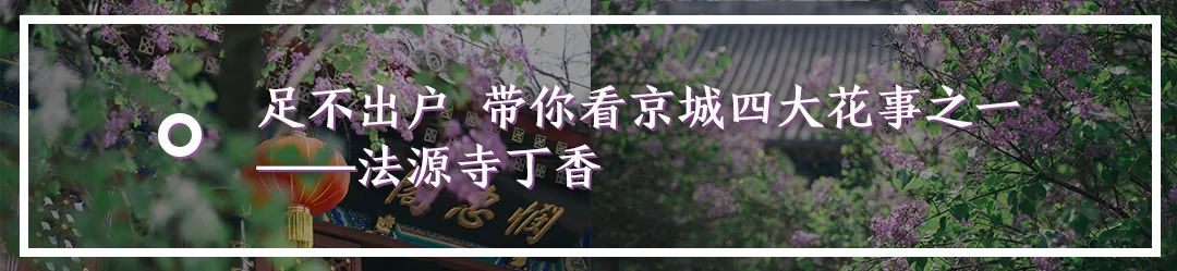 北京的胡同南京巷,北京的胡同上海的弄堂