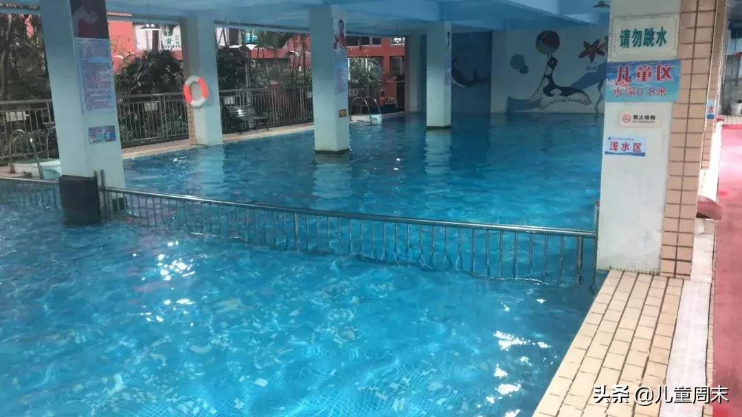 深圳游泳教练培训学校有哪些,深圳成人游泳培训班哪里好