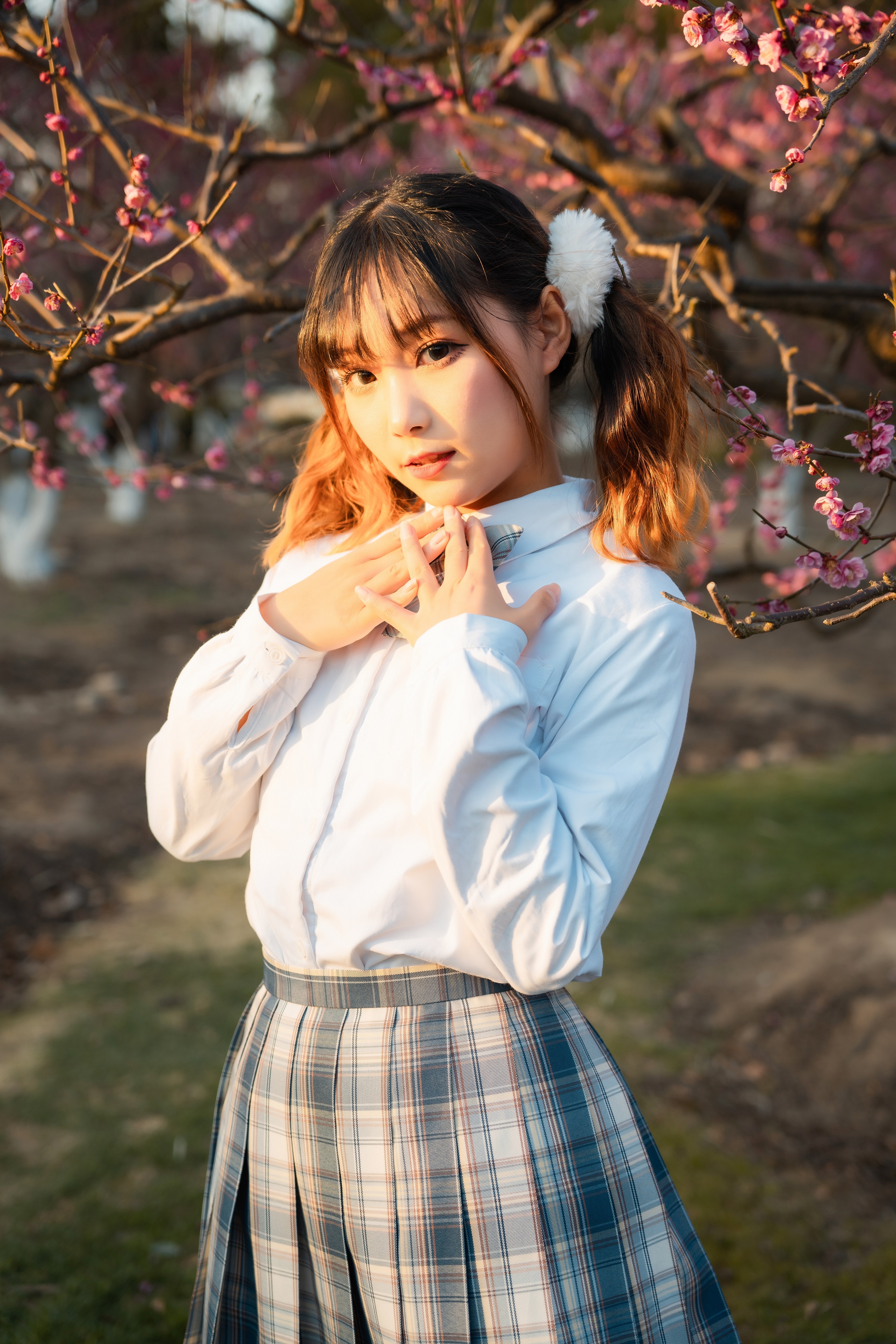 适马24-702.8二代镜头测评,适马新出的24-702.8镜头怎样