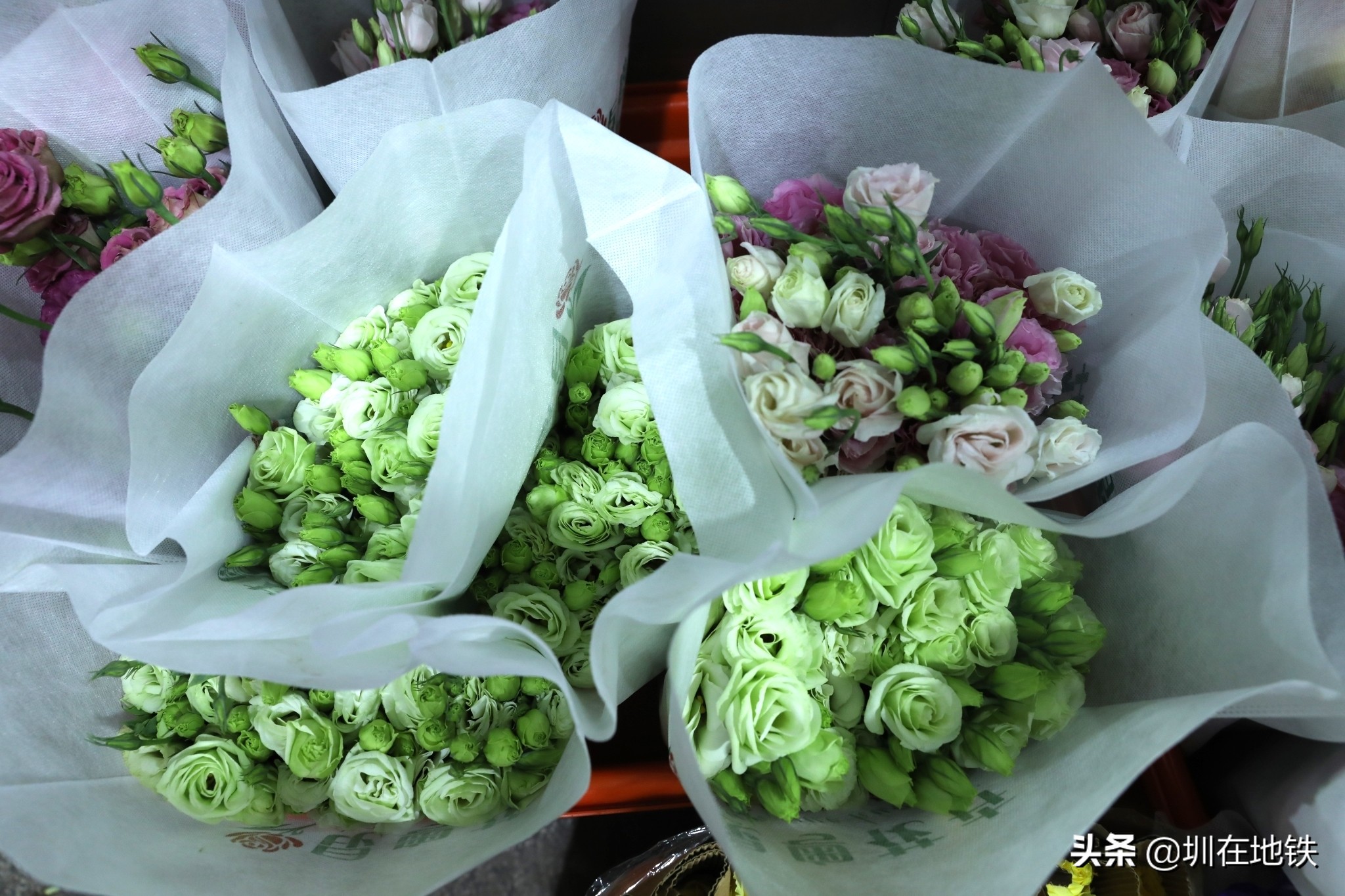 乘坐地铁到滘口花卉市场,从地铁到花卉市场