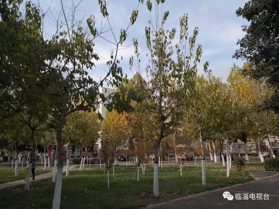 淄博市经济社会发展现场观摩点评,2020年度淄博市经济社会发展