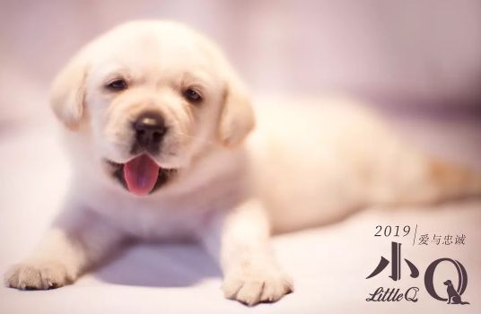 国庆档电影强势来袭,国庆档电影国产