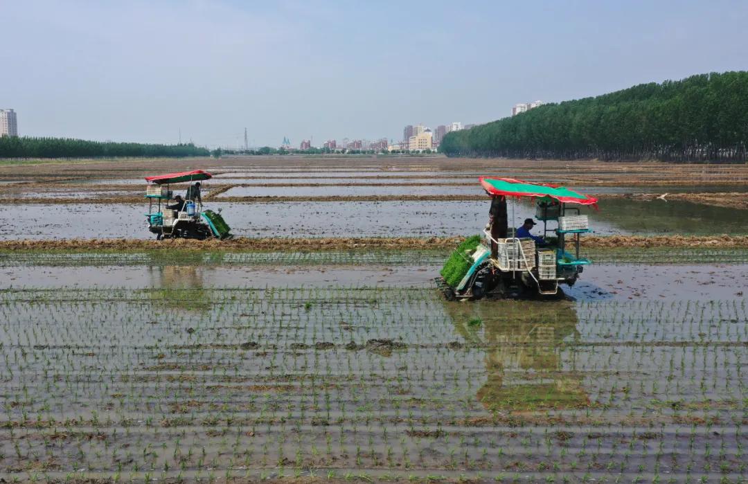 农机市场发展前景,2020年农机市场