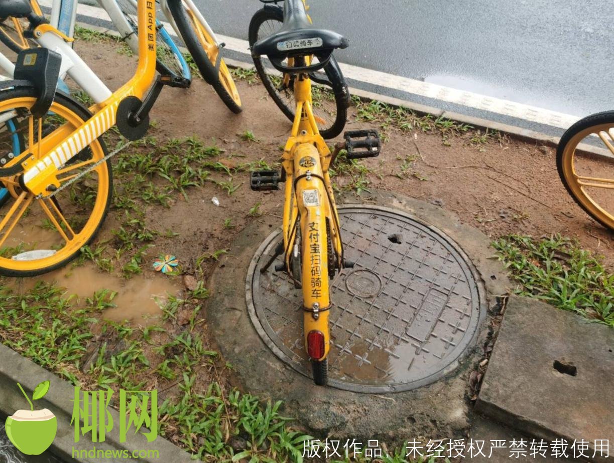 ofo小黄车免押金后怎么退押金,ofo小黄车怎样可以退押金