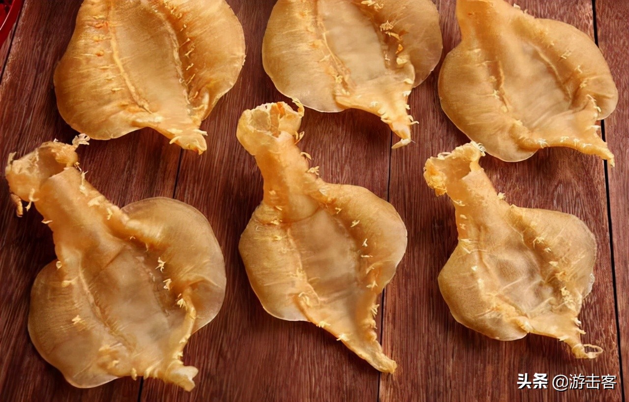 鱼胶种类有几种及辨别方法,野生鱼胶与养殖鱼胶的区别