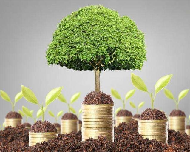 虚拟股权激励方案与集资的区别,股权激励方案虚拟股