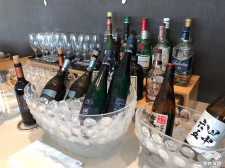 日航飞机头等舱体验视频 (日航787商务舱体验)