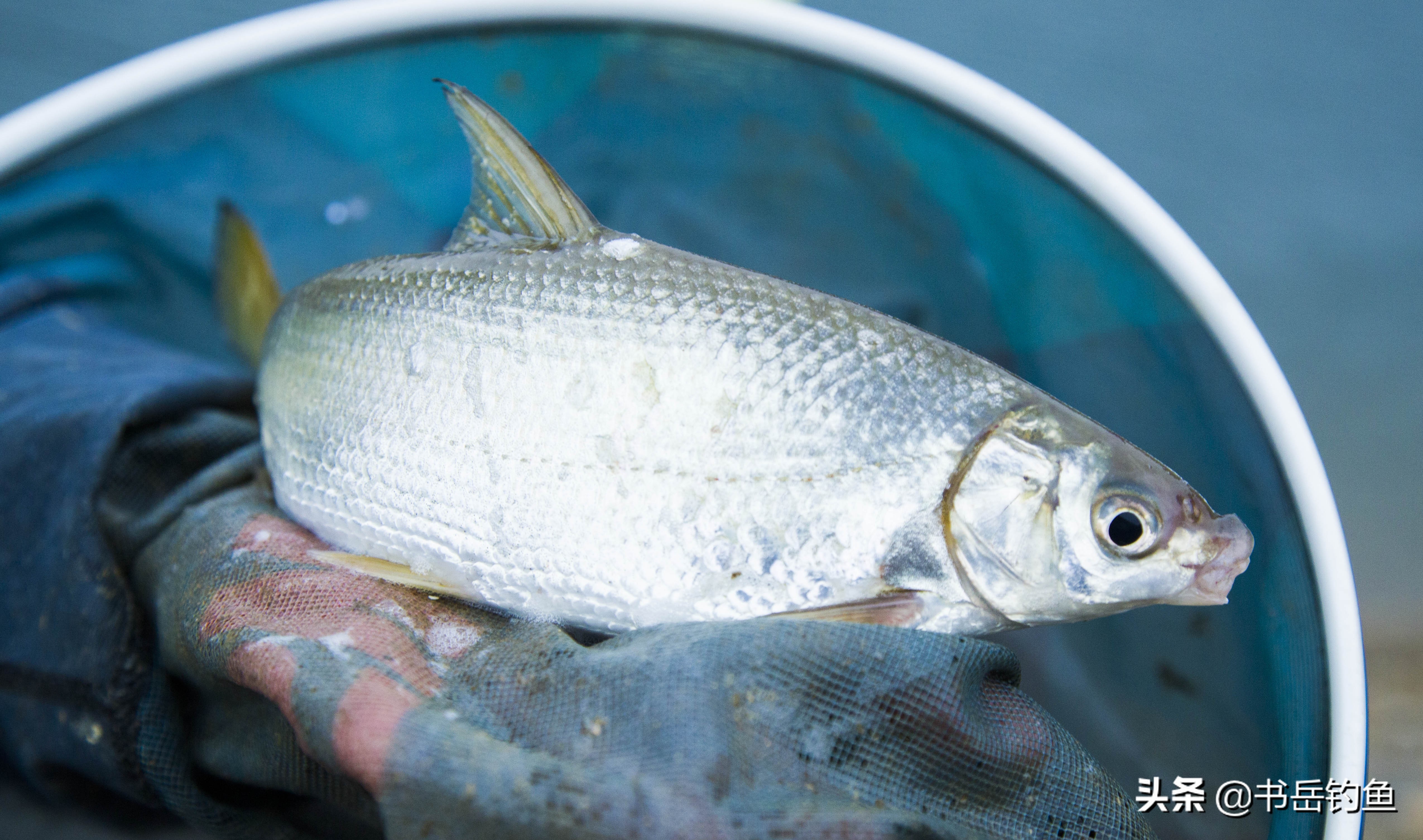 阴雨天对钓鱼的影响往往是负面,从环境变化到鱼类行为都有见证