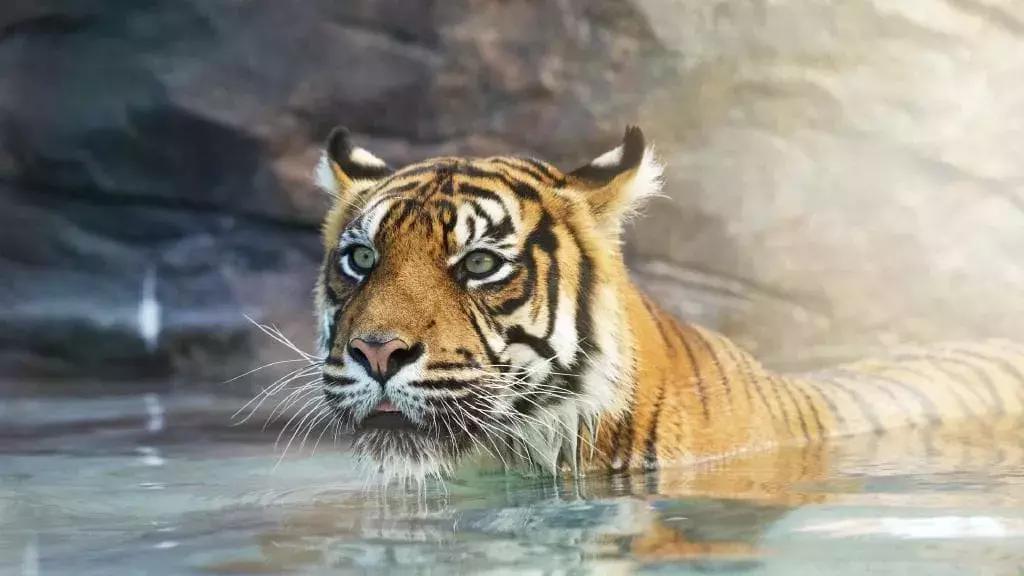 来这里认识世界全文,来这里认识世界完整版