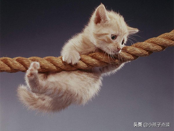 六年级上册英语1-6单词快速朗读,六年级上册英语北京人教版单词表