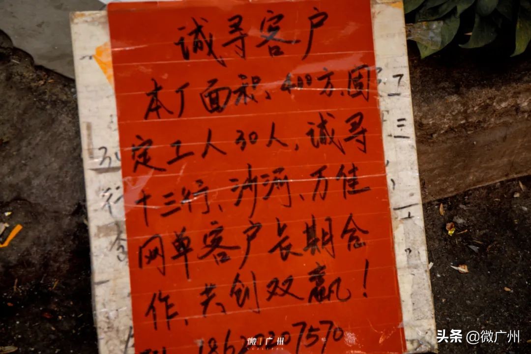 用10张照片结束我的深圳之旅,用39张照片结束我的武汉之旅