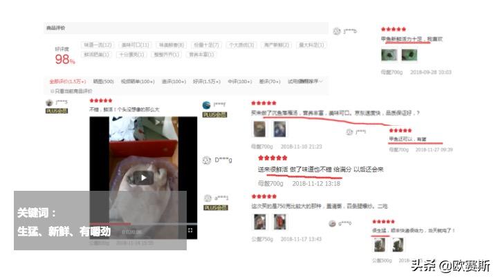 欧赛斯带你全方位洞察甲鱼市场发展趋势及竞争格局