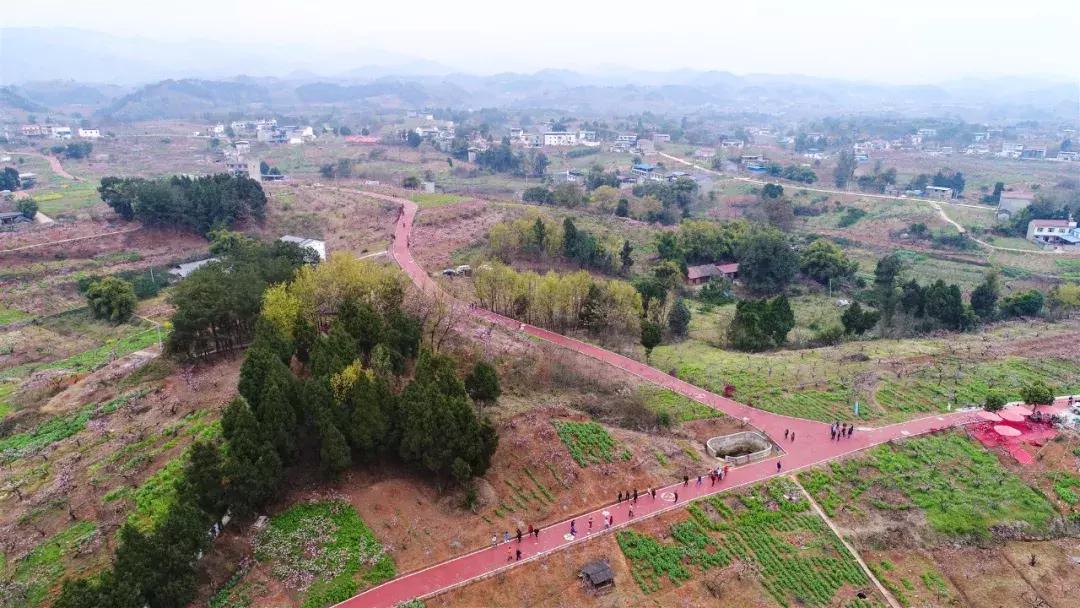 自驾旅游沿着g30高速公路看风景,沿g318去拉萨一路海拔