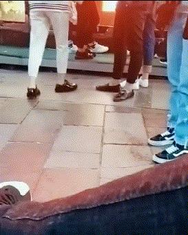 真鳄鱼皮鞋搞笑,鳄鱼皮鞋搞笑视频