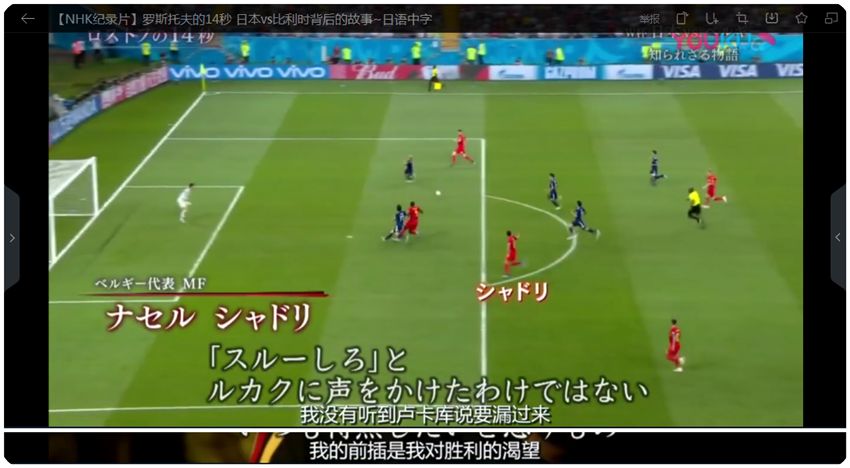 足球入门指南：《罗斯托夫的14秒》观后感