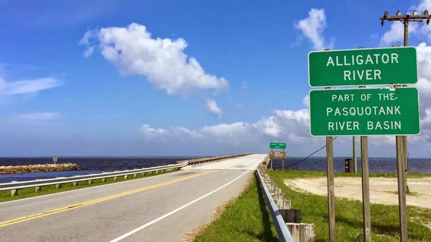 与熊同居28年神秘死亡，美国女人传奇的一生，隐藏着惊人结局