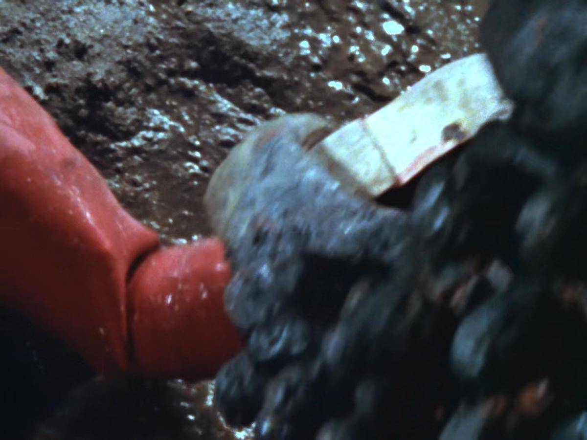 模玩机设:以弹之名守望地球地球的赤红巨人SHF赛文