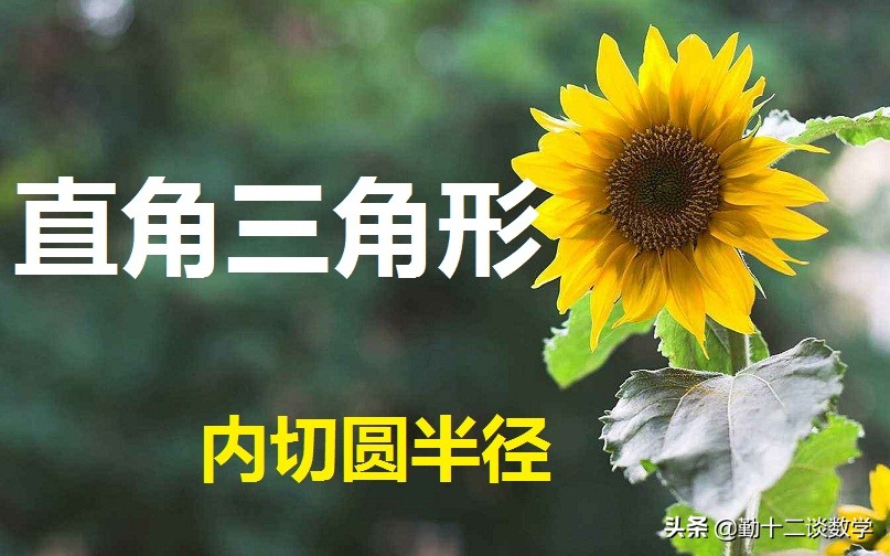 初三数学三角形面积与内切圆,三角形外接圆内切圆面积计算步骤