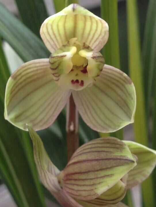 新手兰友的建议,新手兰友容易入的坑