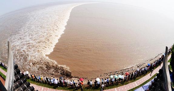 浙江有哪些奇特的景观,浙江有哪些珍稀花草