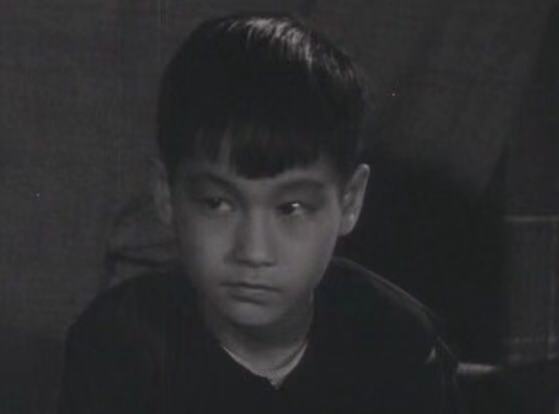 李小龙一生经历,李小龙人生经历