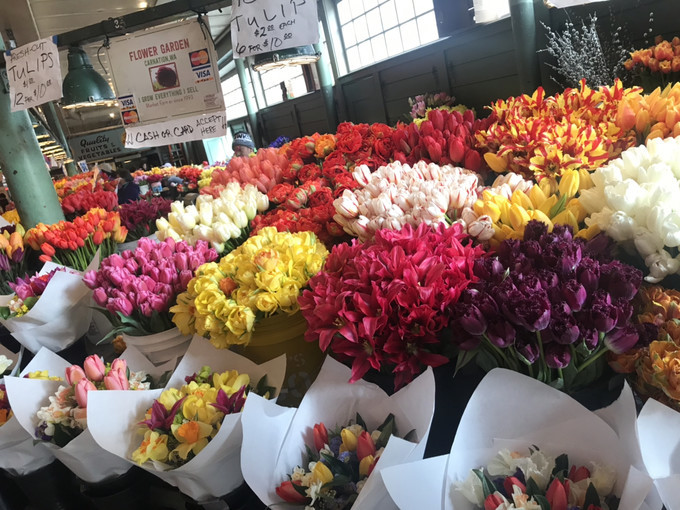 西雅图游记,西雅图游记奥林匹克国家公园