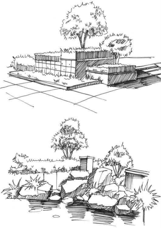 速写风景初学者入门教程,速写风景初学者入门教程植物