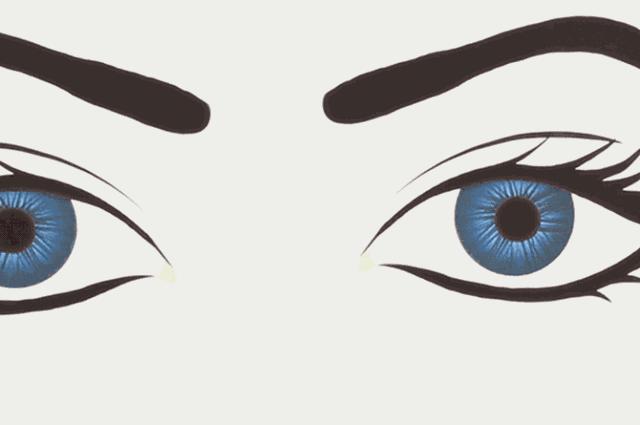 割双眼皮埋线和全切有什么区别,全切双眼皮内眼角割的不一样