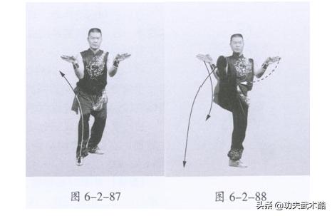 地术拳动作,地术拳实战技法