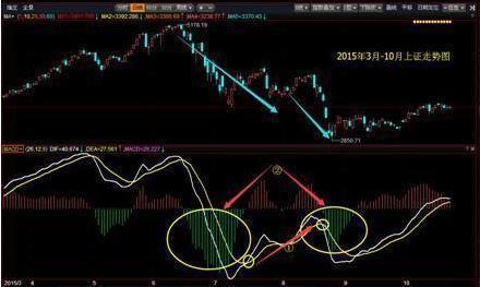一位北大女博士谈股票,北大一个女博士演讲