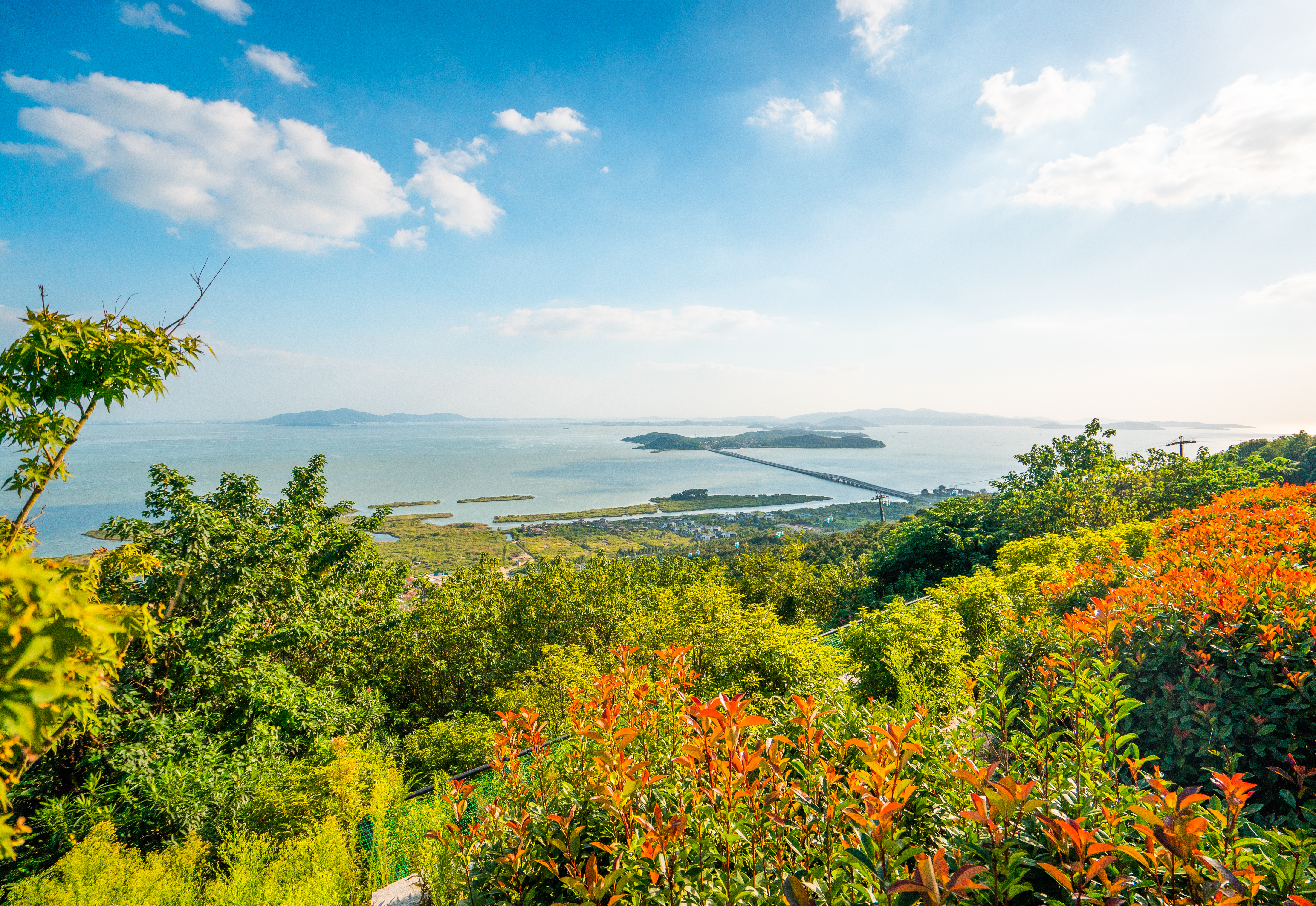 苏州旅游必去十大免费景点推荐,苏州旅游必去十大免费景点有哪些