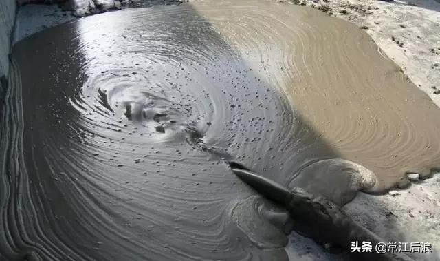 混凝土实用基本知识,关于水泥混凝土的相关知识