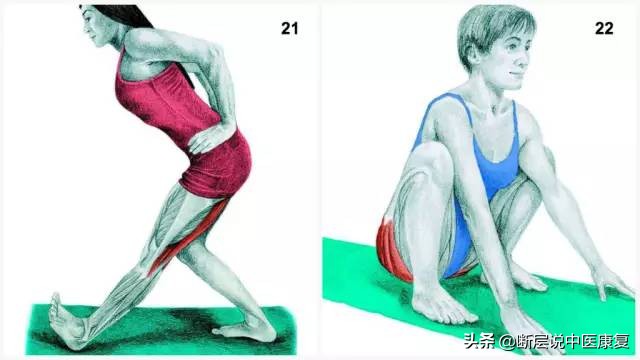 拉伸训练彩色图谱pdf电子版,常见肌肉拉伸合集