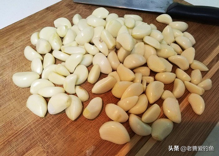 自制酒米窝料哪家渔具店铺好用,渔具窝料配方大全