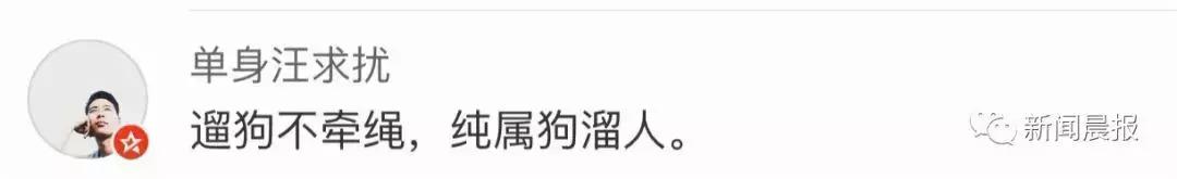 遛狗不牵绳算野狗吗,遛狗不牵狗绳咬伤别人怎么办