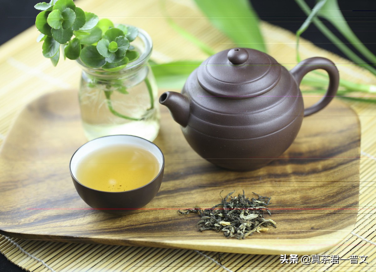 经常喝绿茶的危害到底有多大,为什么都不建议喝绿茶