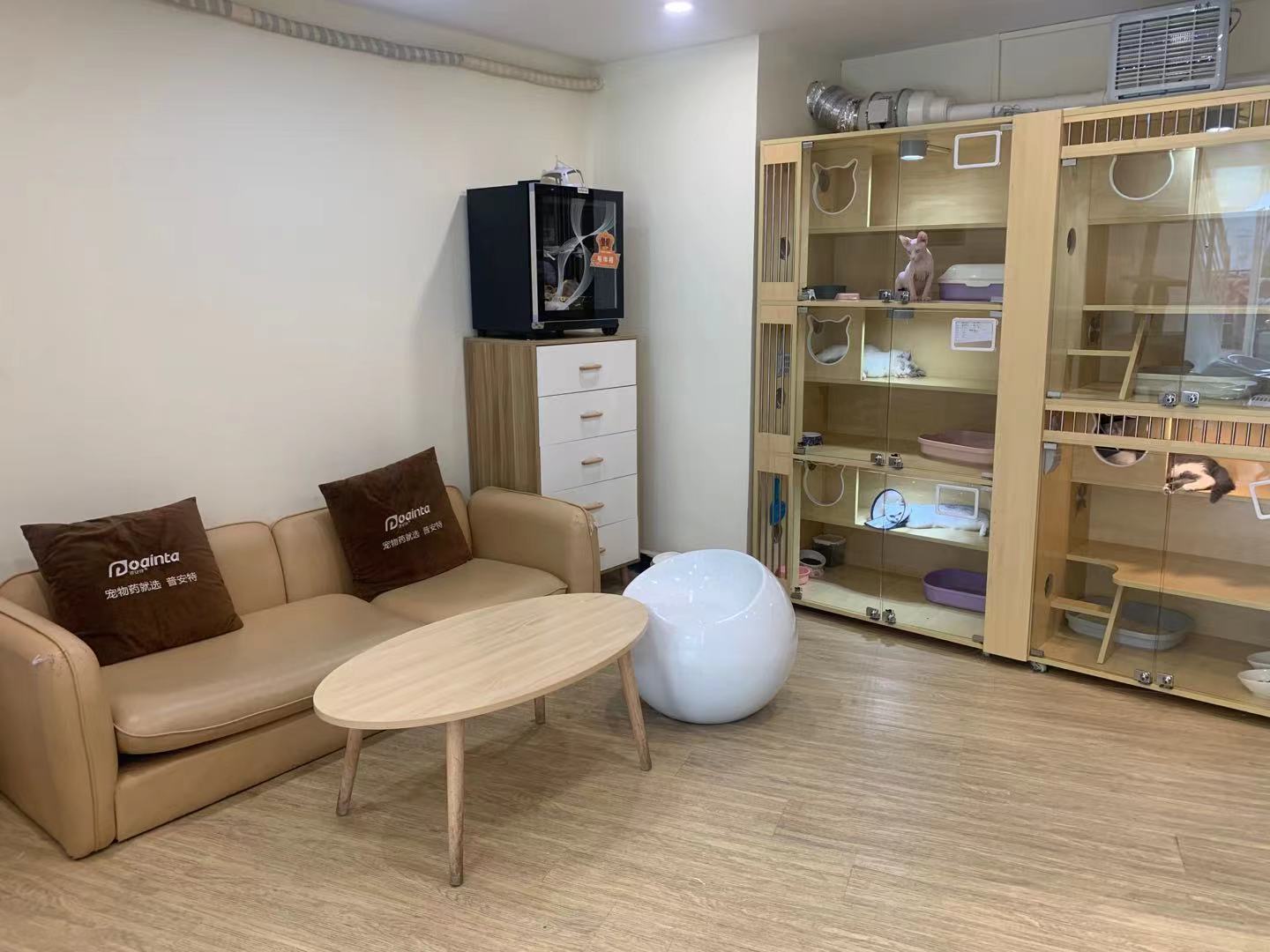 菲尔顿宠物诊所怎么加盟,菲尔顿宠物加盟