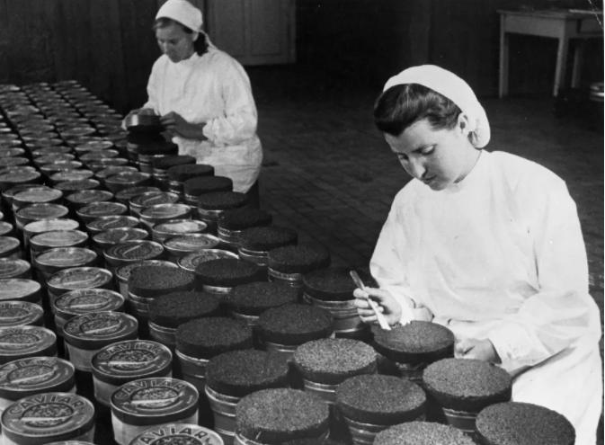 为什么鱼子酱会成为顶级美食,鱼子酱是三大奢侈品美食吗