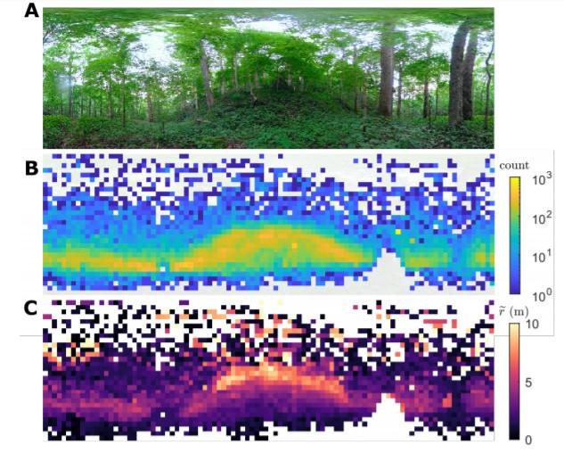 脑科学日报：“老年痴呆”要改名了？青年型痴呆的发病率超乎想象