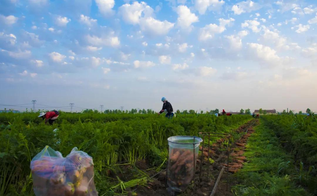 赏鹊林叠翠游魅力李鹊——“好品李鹊”杯短视频大赛开始啦