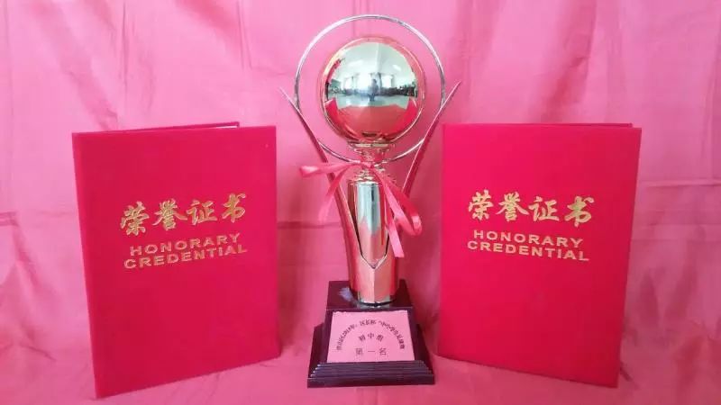 第十四届全运会足球第一名,二中足球队冠军