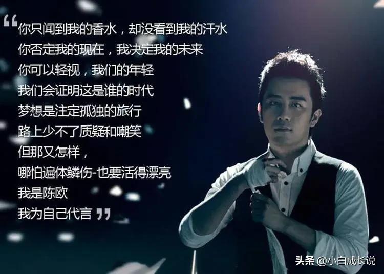 陈欧我为自己代言的广告词是什么,为自己代言的陈欧现在怎样了